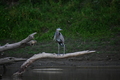 album/09152025/DSC_0533.JPG