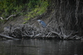 album/09152025/DSC_0542.JPG