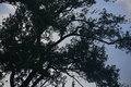 album/09252025/DSC_0810.JPG