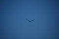 album/09252025/DSC_0824.JPG