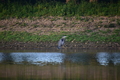 album/09252025/DSC_0856.JPG