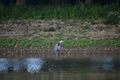 album/09252025/DSC_0869.JPG