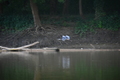 album/09252025/DSC_0922.JPG