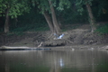 album/09252025/DSC_0925.JPG