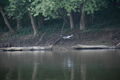 album/09252025/DSC_0926.JPG