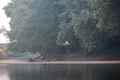 album/09252025/DSC_0932.JPG