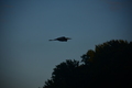 album/09252025/DSC_0940.JPG