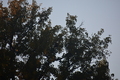 album/09252025/DSC_0969.JPG