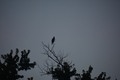 album/09252025/DSC_0973.JPG