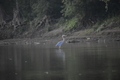 album/09252025/DSC_0983.JPG