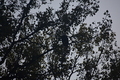 album/09252025/DSC_0995.JPG