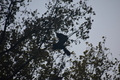 album/09252025/DSC_1022.JPG