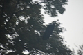 album/09252025/DSC_1026.JPG