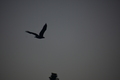album/09252025/DSC_1029.JPG