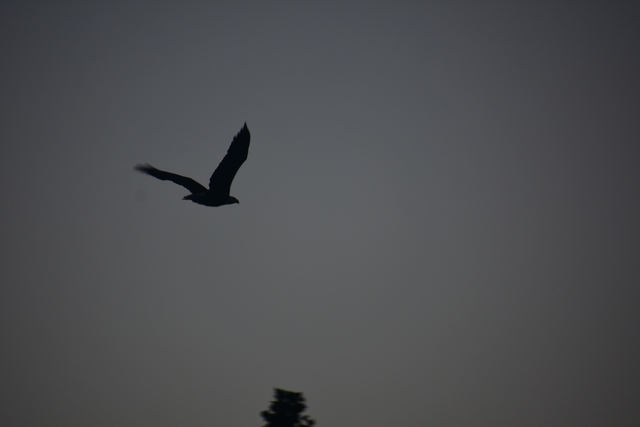album/09252025/images/DSC_1029.JPG