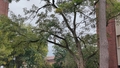 album/10022026/IMG20261002122146.jpg