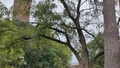 album/10022026/IMG20261002122201.jpg