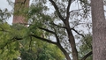 album/10022026/IMG20261002122212.jpg
