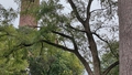album/10022026/IMG20261002122222.jpg