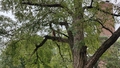 album/10022026/IMG20261002122237.jpg