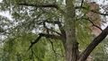album/10022026/IMG20261002122241.jpg