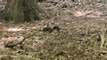album/10122026/IMG20261012143221.jpg