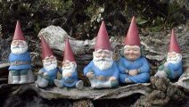gnomes